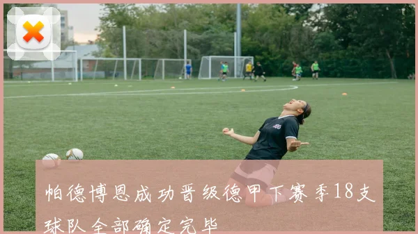 帕德博恩成功晋级德甲下赛季18支球队全部确定完毕