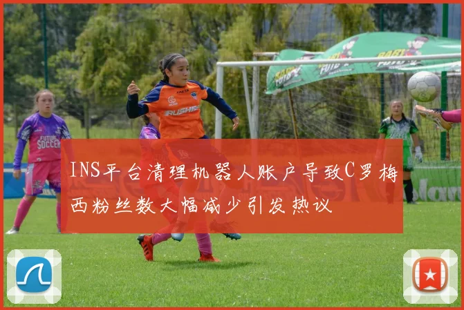 INS平台清理机器人账户导致C罗梅西粉丝数大幅减少引发热议