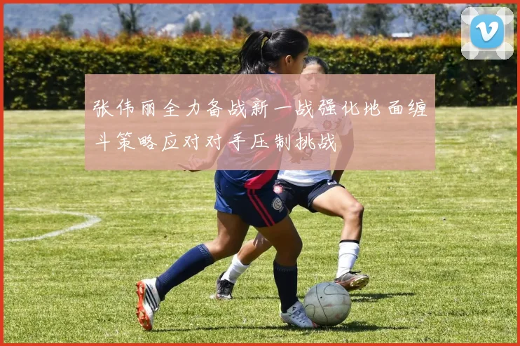 张伟丽全力备战新一战强化地面缠斗策略应对对手压制挑战