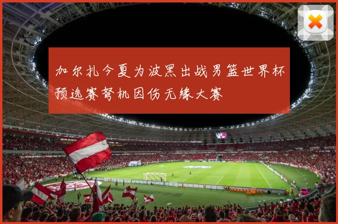 加尔扎今夏为波黑出战男篮世界杯预选赛弩机因伤无缘大赛